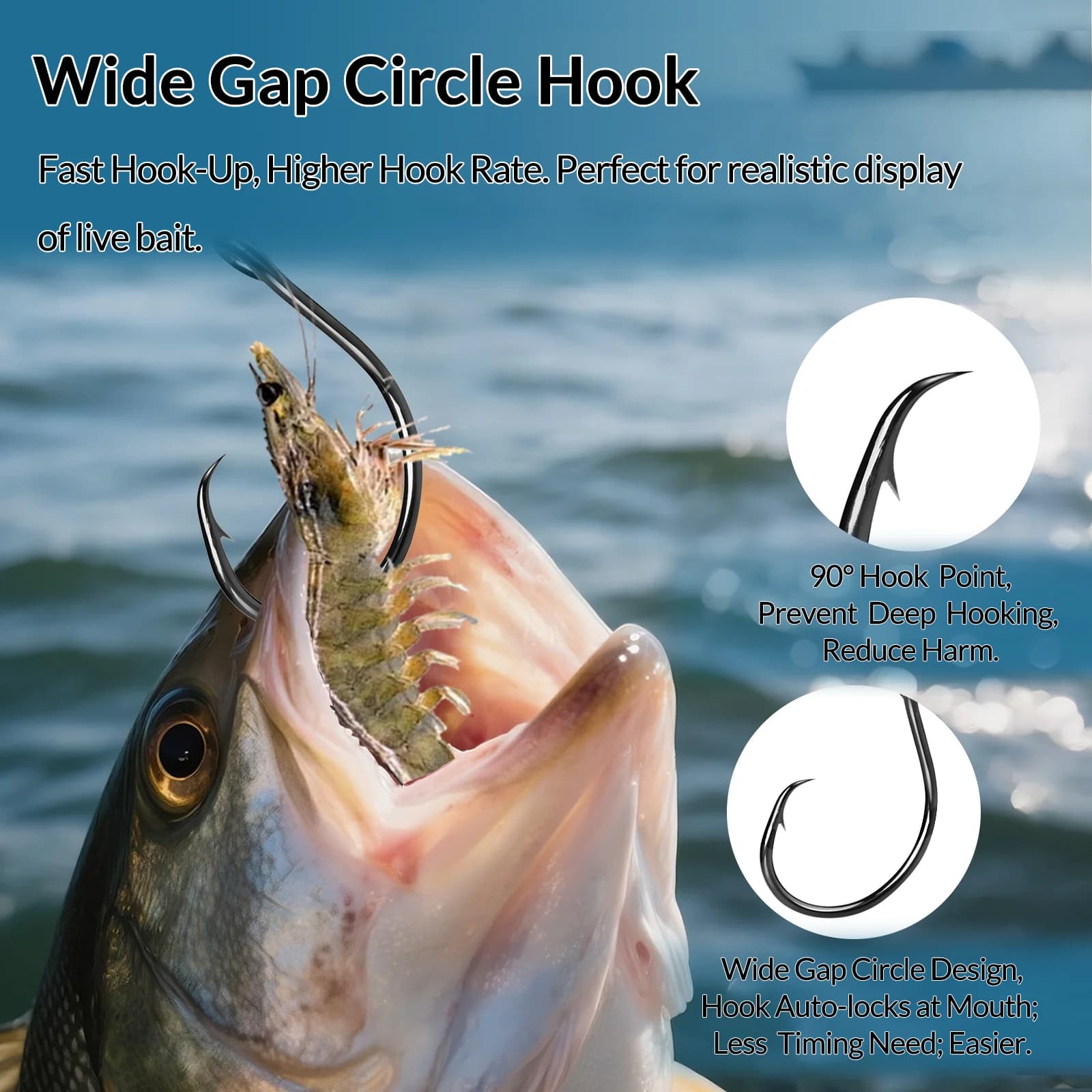 Ammi Circle Wide Gap per Esca Viva